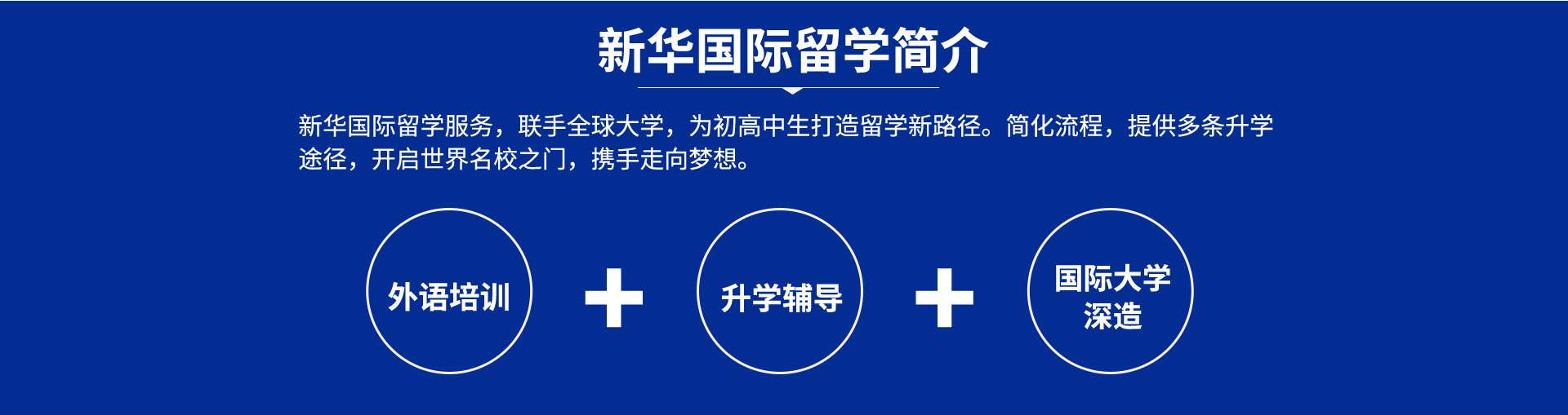 新華國際升學班