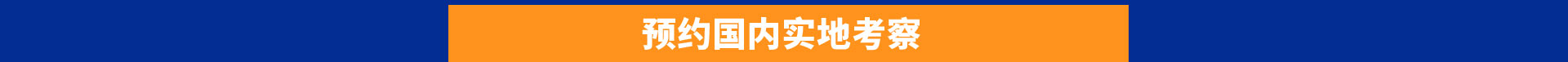 新華國際升學班