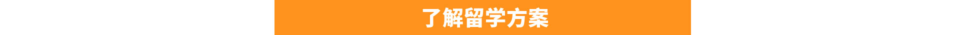 新華國際升學班