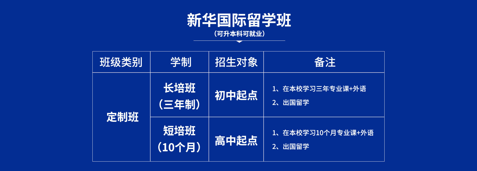 新華國際升學班